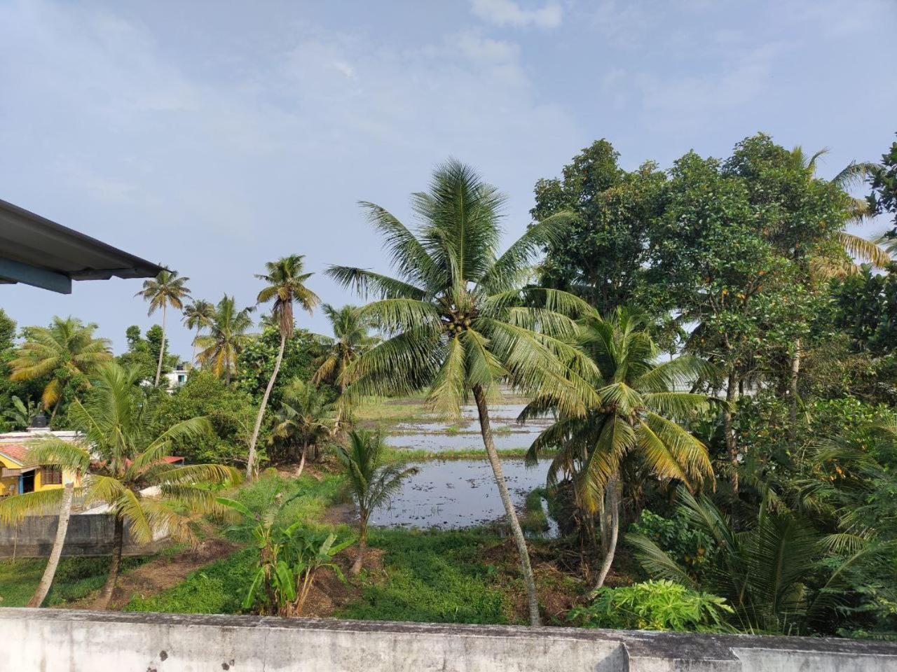 Paddy N Canal Homestay Alappuzha Екстер'єр фото