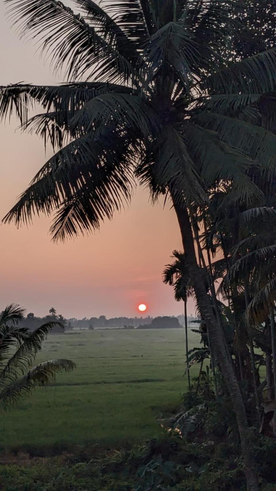 Paddy N Canal Homestay Alappuzha Екстер'єр фото